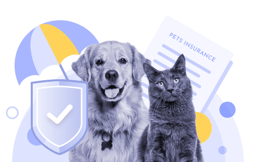 The Ultimate Guide to Pet Insurance: What Every Owner Should Know